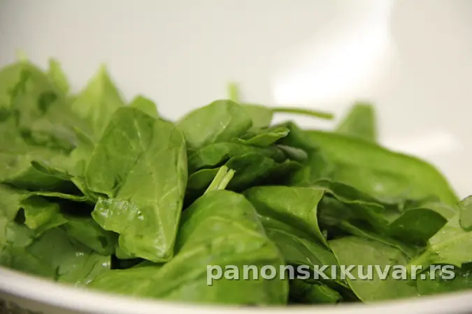 SALATA OD SPANAĆA